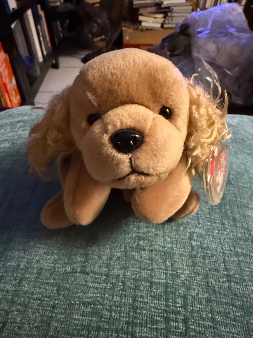 VINTAGE TY Beanie Baby SPUNKY TAN COCKER SPANIEL DOG 8" Plush STUFFED ANIMAL